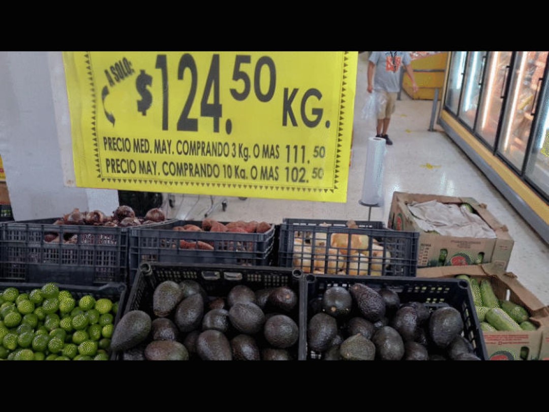 Vuela El Precio Del Aguacate En PN Ya Cuesta 124 Pesos El Kilo vuela-el-precio-del-aguacate-en-pn-ya-cuesta-124-pesos-el-kilo