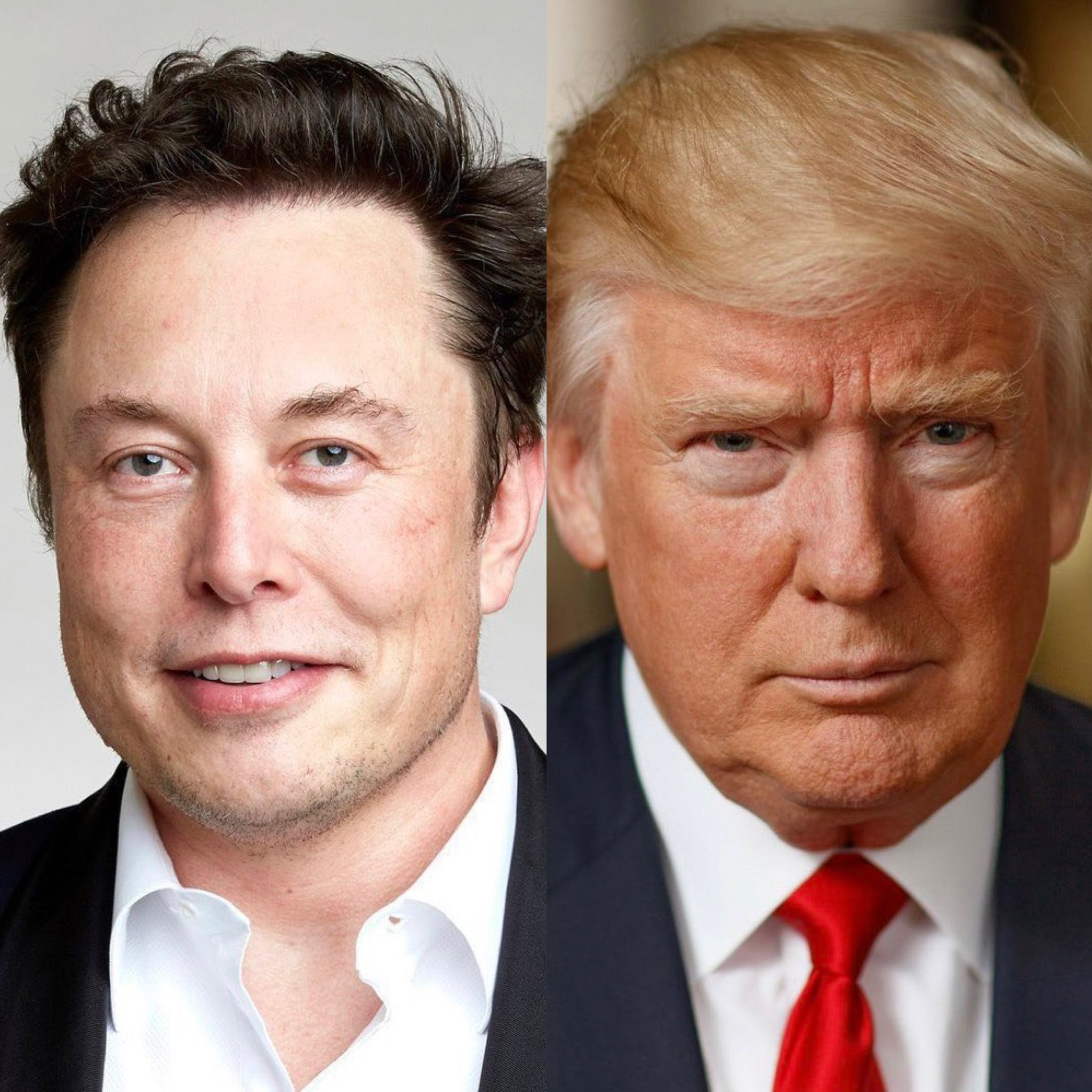Elonk Musk acusa a Trump de aparecer en los archivos no publicados de ...