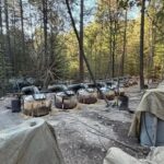 Mueren dos instructores de la embajada de EE.UU. y dos agentes mexicanos en accidente tras operativo antidrogas en Chihuahua