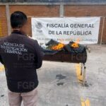 Aseguran y queman mariguana y otras sustancias en Durango