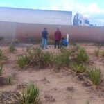 Trailero dormita al volante y vuelca sobre la carretera Saltillo-Torreón