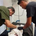 Hallan a recién nacido abandonado dentro de una bolsa de basura; autoridades investigan