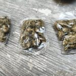 Aseguran presunta marihuana y detienen a un sujeto en sector Centro