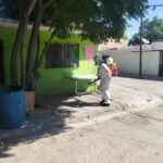 Refuerzan acciones de prevención y control de vectores y plagas