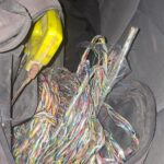 Detiene DSPM de Torreón a dos hombres por robo de cableado de telecomunicaciones