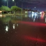 Lluvias dejan árboles caídos y encharcamientos en Torreón; mantienen operativo de atención