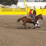 Rodeo Saltillo 2026 calienta motores; Julión Álvarez, Pesado y más llegan al escenario