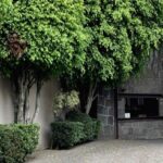 Residencia que Lozoya compró con soborno a Ancira es propiedad de la nación, ratifica la Corte