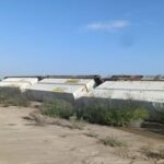 Se Descarrila Tren y Vuelcan Más de 80 Vagones en General Cepeda, Coahuila
