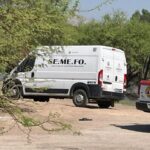 Localizan sin vida a hombre en un árbol en León Guzmán