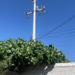 Falla en suministro eléctrico afecta bomba 27R en Torreón
