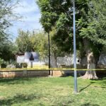 Acordonan sector de la Alameda Zaragoza por presencia de panales de abejas